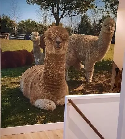 住宿加早餐酒店 De Raamberg 3*