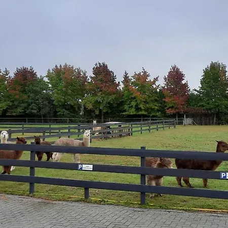 De Raamberg 住宿加早餐酒店 Zundert