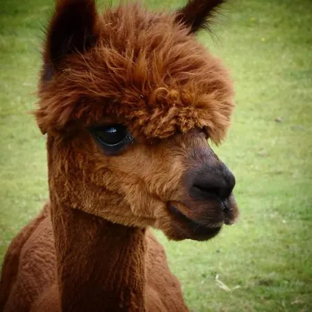 De Raamberg 3* Zundert