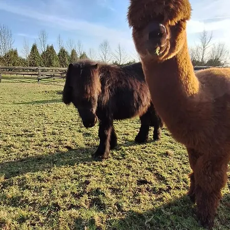 De Raamberg Bed & Breakfast Zundert