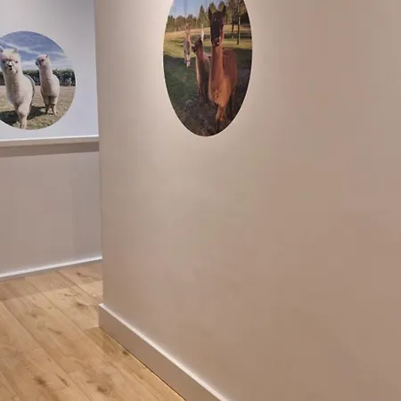 Bed & Breakfast De Raamberg 3*