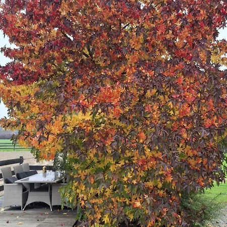 De Raamberg 住宿加早餐酒店 Zundert