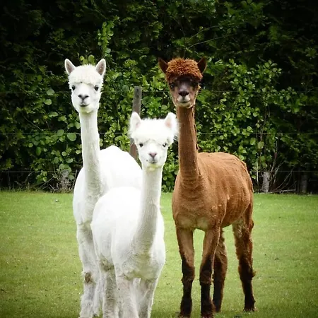 De Raamberg 3* Zundert