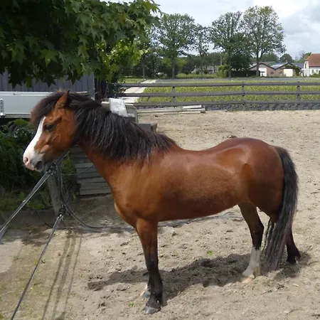 De Raamberg Bed & Breakfast