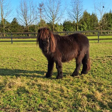 住宿加早餐酒店 De Raamberg