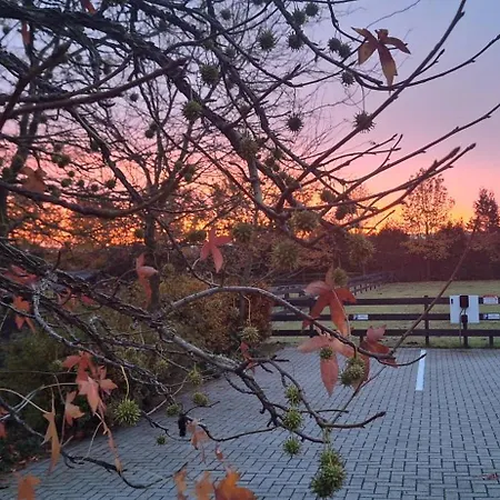 Bed & Breakfast De Raamberg Zundert