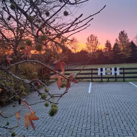 住宿加早餐酒店 De Raamberg