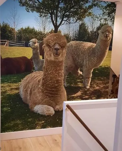 فندق مبيت وإفطار De Raamberg 3*