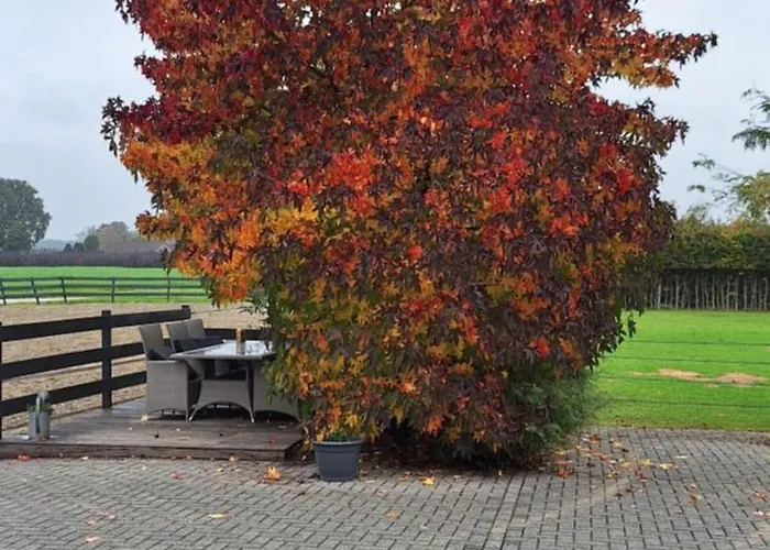 De Raamberg Bed & Breakfast