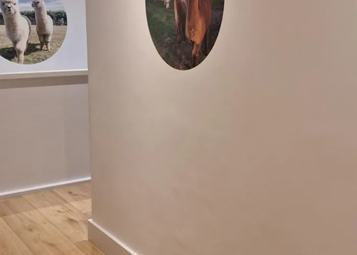 فندق مبيت وإفطار De Raamberg 3*