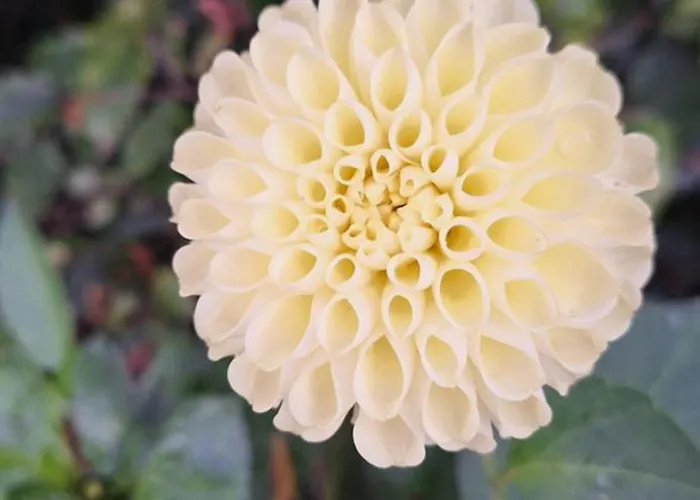 Bed & Breakfast De Raamberg 3*