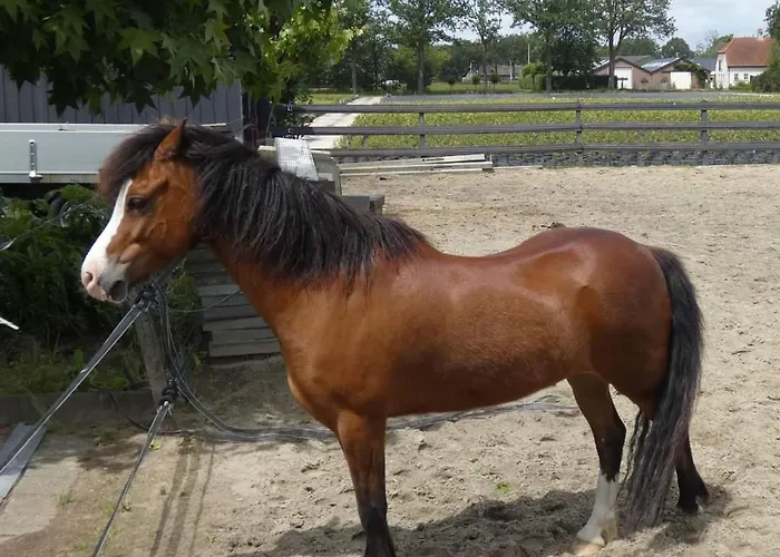 De Raamberg Bed & Breakfast