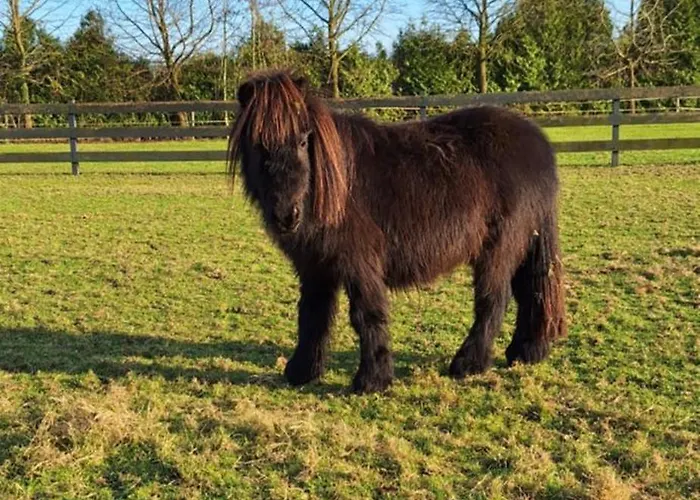 فندق مبيت وإفطار De Raamberg