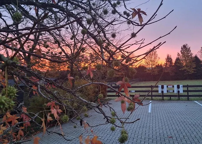 فندق مبيت وإفطار De Raamberg Zundert