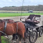 לינה וארוחת בוקר De Raamberg Zundert