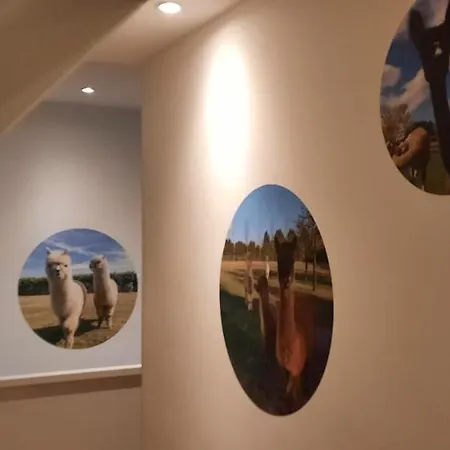 De Raamberg Zundert