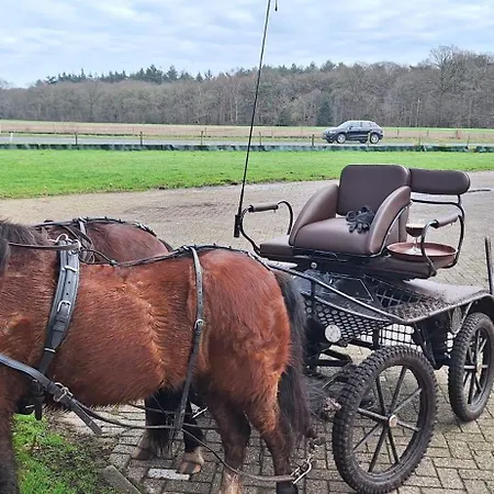 לינה וארוחת בוקר De Raamberg Zundert