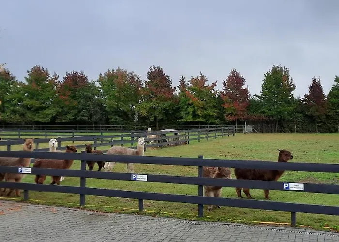 De Raamberg Bed & Breakfast Zundert