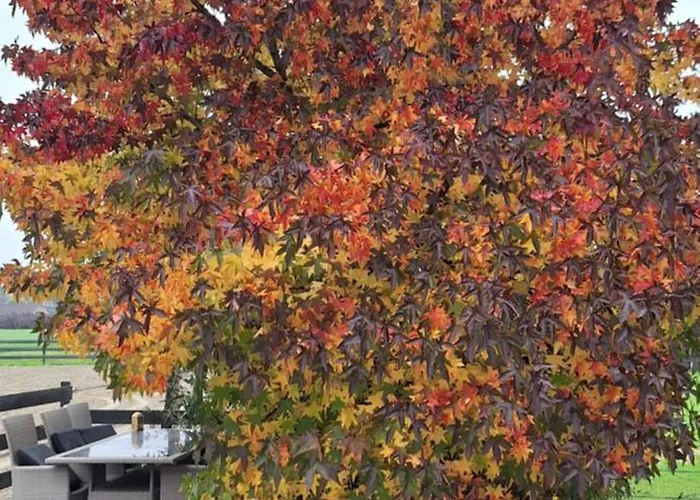 De Raamberg Bed & Breakfast Zundert