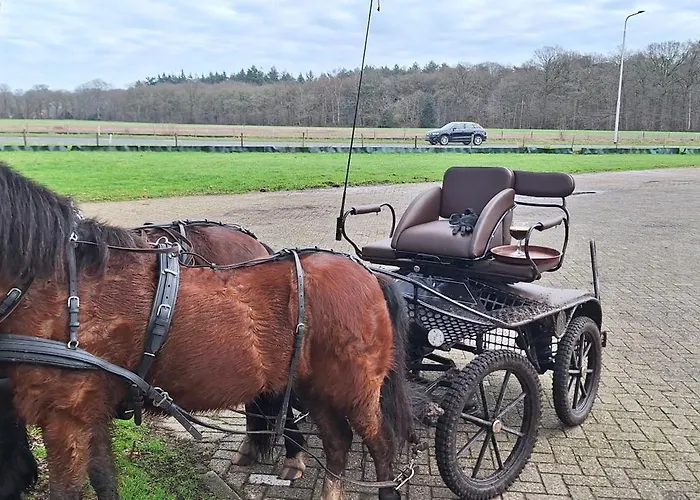 Bed & Breakfast De Raamberg Zundert